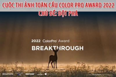 ViewSonic- Cuộc Thi Ảnh Toàn Cầu  ColorPro Award 2022 với chủ đề: Đột Phá